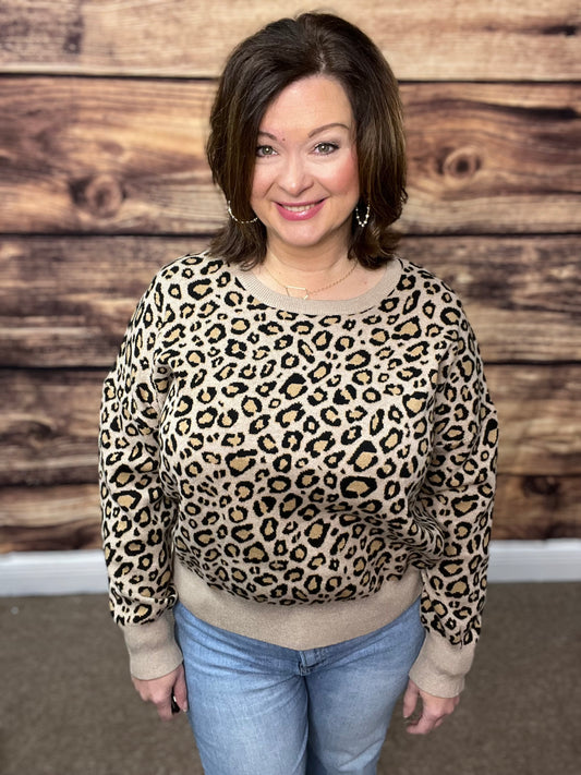 Leopard Jacquard Pullover Sweater Knit Top