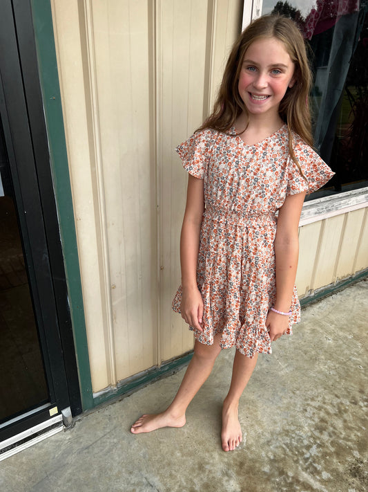 Girls Flutter Sleeve Smocked Waist V Neck Dress