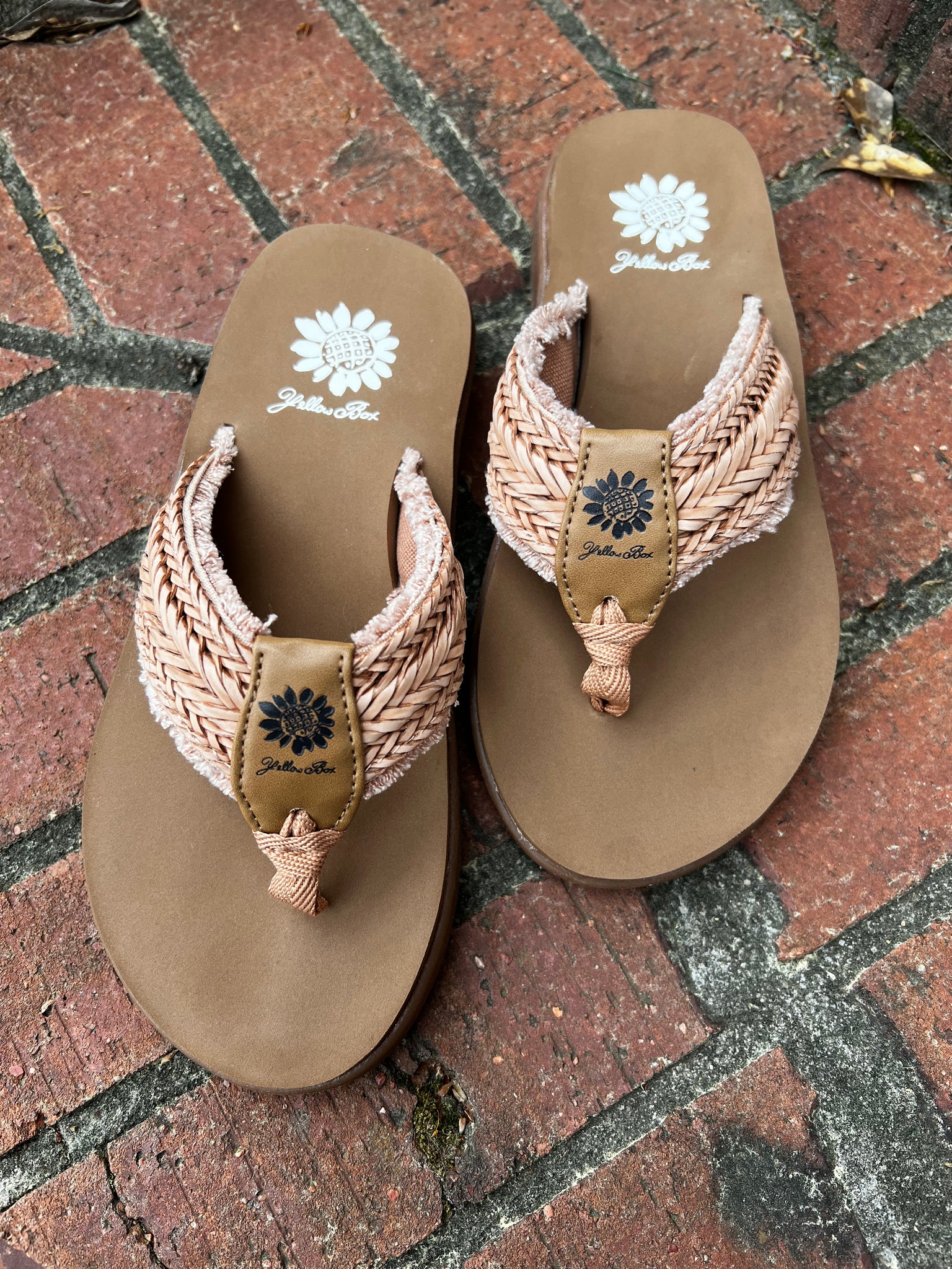 Yellow Box Guppy Sandal, Blush